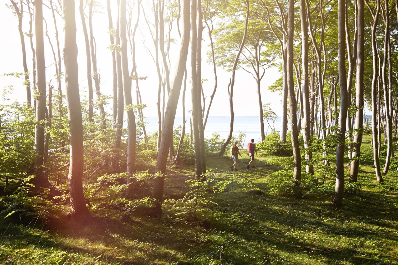 Nationalpark Jasmund