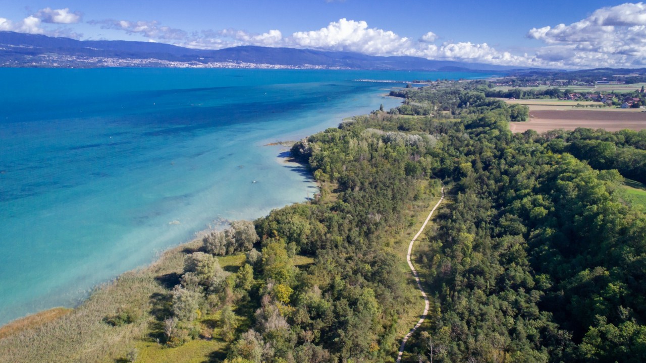 Photo de la Grande Cariçaie.