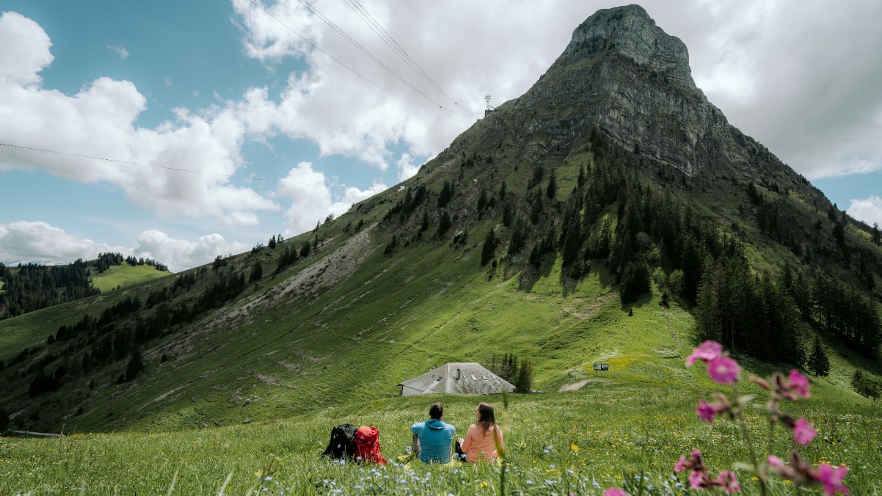 Two people in a meadow, admiring the Moléson.