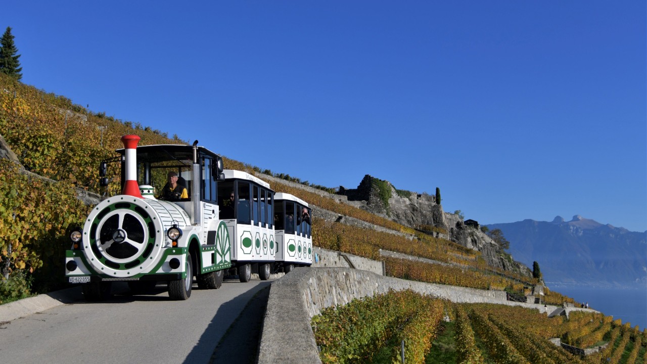 Image of Lavaux Panoramic.