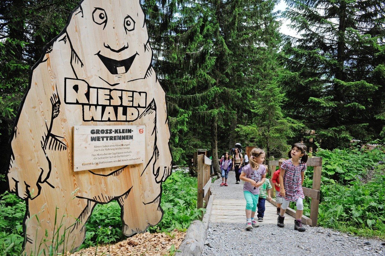 Image of the Riesenwald