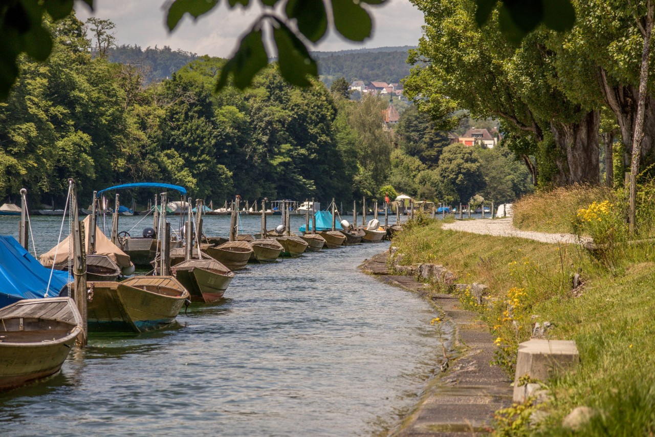 Foto dell’escursione.