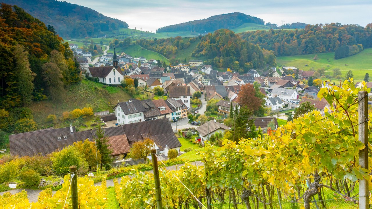 Bild vom Rebenweg.