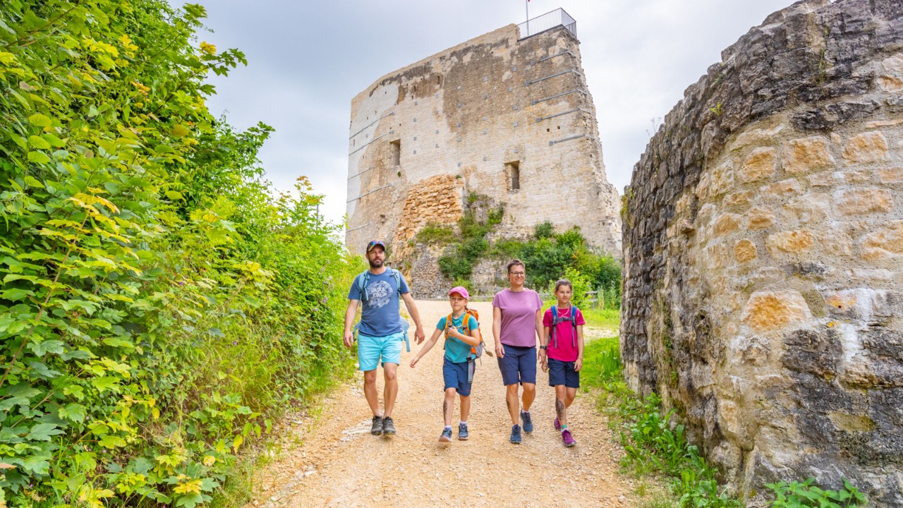 Bild der Burg Farnsburg.