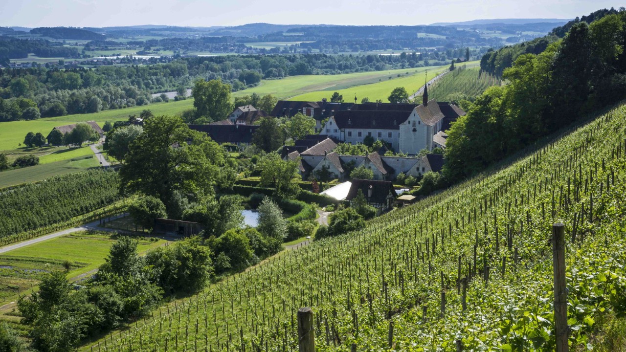 The monastery on the slopes of a vineyard.