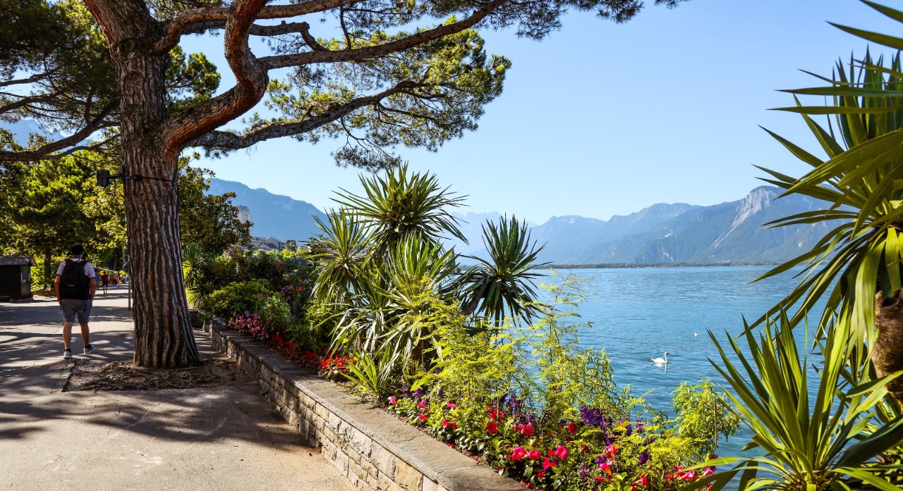 A green promenade with the lake on the right.
